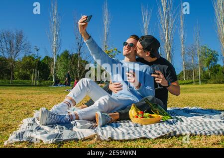 Caucasian Gay Couple Taking Selfie Together With Phone While Drinking Red Wine in Picnic Park Stock Photo