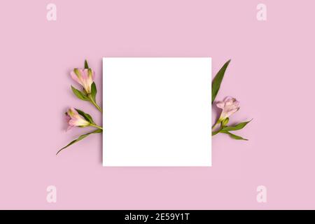Composition with flowers and blank paper on a purple background. Stock Photo