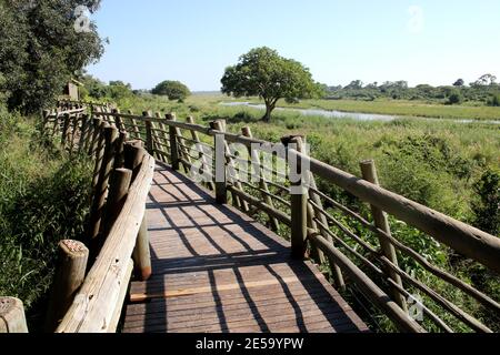 Wooden Walkway (boardwalk) at Lower Sabie Rest Camp in the Kruger National Park Stock Photo