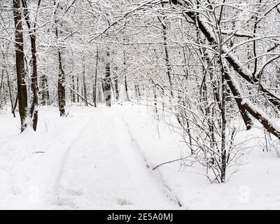 snow-covered country road in city park on overcast winter day Stock Photo