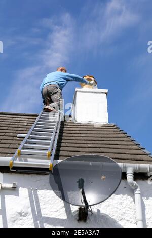 Man on a roof ladder painting a chimney Stock Photo
