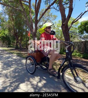 BRIBIE ISLAND, AUSTRALIA - Jan 21, 2021: an elderly man rides along path with cute dog in the back surrounded by trees on sunny day Stock Photo