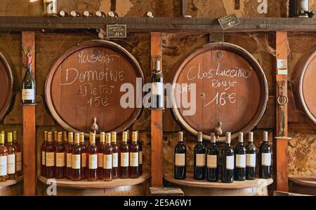 the Vieille Cave, two hundred years old wine store , France, Corsica, Corte Stock Photo