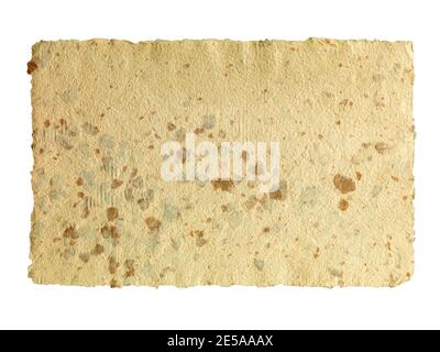 Recycled cream, grey vintage horizontal note paper texture with rose petals. Stock Photo