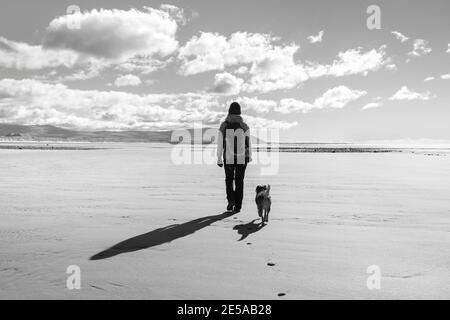 Woman and dog Stock Photo
