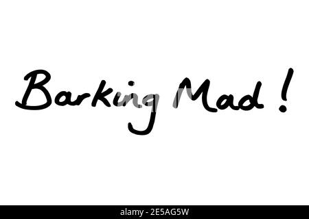 Barking Mad! handwritten on a white background. Stock Photo