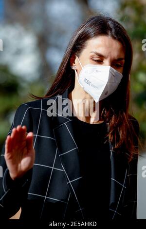 Madrid, Spain. 27th Jan, 2021. **NO SPAIN** Queen Letizia attends FEDER (Spanish federation of rare diseases) work meeting at the FEDER offices in Madrid, Spain on January 27, 2021. Credit: Jimmy Olsen/Media Punch/Alamy Live News Stock Photo