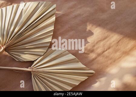 Minimal stationery still life. Dry palm leafs on craft paper. Stock Photo