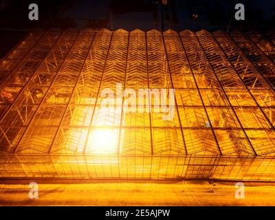 Glowing modern glass greenhouse in winter night, aerial view. Stock Photo