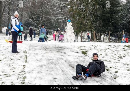 Sledging in Waterlow Park Highgate London UK Stock Photo