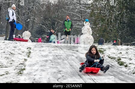 Sledging in Waterlow Park Highgate London UK Stock Photo