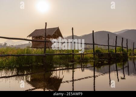 Boat tour in the floating gardens of Inle lake at sunset in Burma, Myanmar