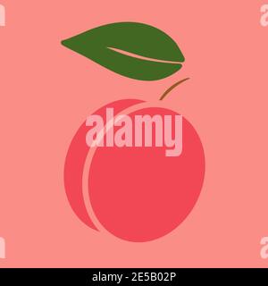 Peach flat vector outline illustration in minimalistic style on pink background Stock Vector