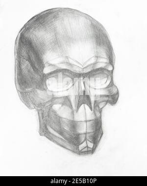academic drawing - plaster cast of human skull hand-drawn by graphite pencil on white paper Stock Photo