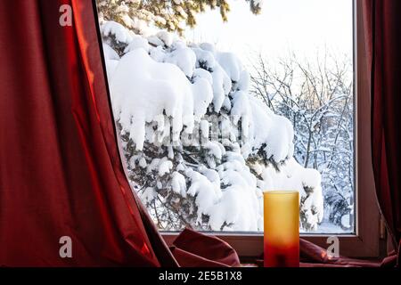 snowbound pine tree on backyard of country house and home window with red curtains and lamp on sill in cold winter evening Stock Photo