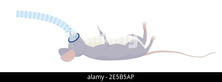 Rat or gray mouse with inhalation anesthesia, medical surgery operation concept. Veterinary cartoon illustration. Noninvasive lung ventilation Stock Vector