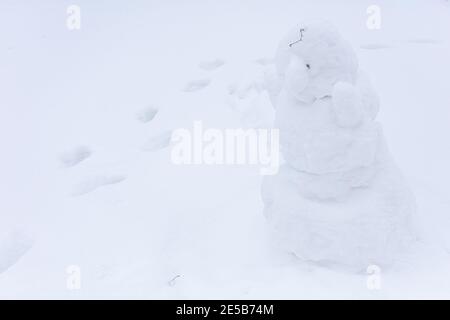 Snowman, snow woman molded from snow. Snowy winter concept. High quality photo Stock Photo