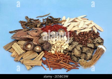 Chinese herbs & spice selection used in traditional herbal medicine on mottled blue background. Natural health care concept. Stock Photo