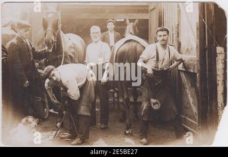 Edwardian blacksmiths at work shoeing horses. Five men are at work, holding the horses and fixing the shoes. A dog is on the bottom left of the photograph. Stock Photo