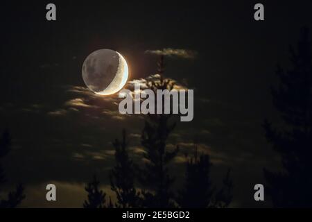 An amazing dramatic view of the Crescent Moon in between the clouds and behind the trees of the forest. A dramatic and scary background of our Moon an Stock Photo