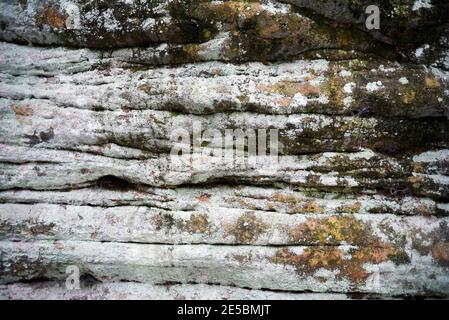Corroded sandstone rock in the forest, texture. Stock Photo