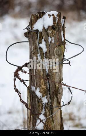 Barbed wire wrapped around rotting wooden fence post in snow Stock Photo