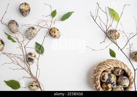 Quail eggs with twigs and fresh green leaves on a white background with space for text. Easter. Stock Photo