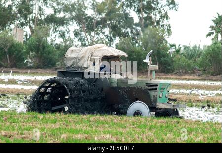 Tractor plowing the rice field in the Delta Stock Photo