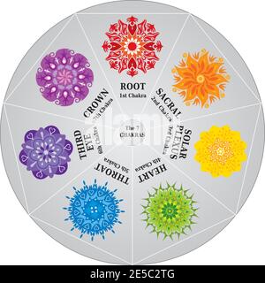 7 Chakras Color Chart and Mandalas Wheel for Dowsing- Pendulum Stock Vector