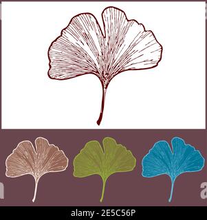 Isolated Ginkgo Leaves Illustration in Various Colors - Nature in Summer Stock Vector