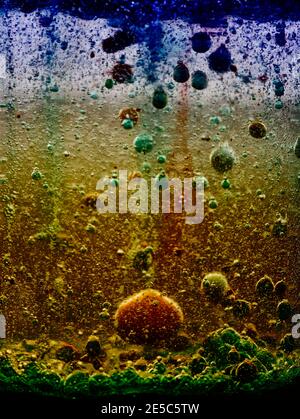 Colourful abstract patterns of bubbles rising and falling in liquid Stock Photo