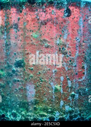 Colourful abstract patterns of bubbles rising and falling in liquid Stock Photo