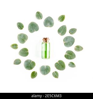 Abstract composition. Round wreath frame made of leaf eucalyptus in the middle of an essential oil isolated on white background. lay flat, top view Stock Photo