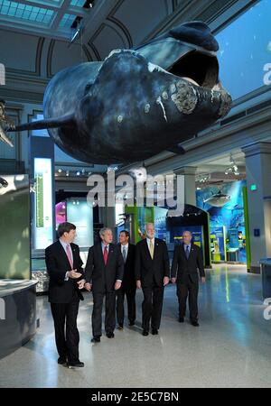 US President George W. Bush tours the Smithsonian Museum of Natural History in Washington, DC, USA on September 26, 2008. Photo by Olivier Douliery/ABACAPRESS.COM Stock Photo