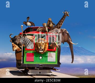 Zoo in the tram concept with animals looking out of the windows, Elephant giraffe cheetah over African Kilimanjaro Stock Photo