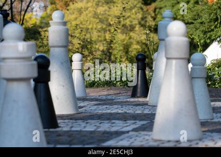 Group of Life-Sized Pawns with the focus being on the last row Stock Photo