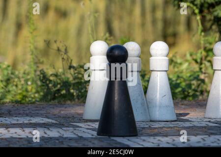 Four Life-Sized Pawns on a Chess Board, three white pawns and one black in front, focus on the white pawns Stock Photo