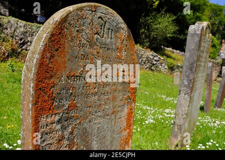 Lichen covered headstone of a 4 year out girl in the graveyard of Culbone church near Porlock in Somerset,claimed to be the smallest in England,UK Stock Photo