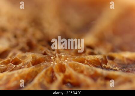 Close up of a pumpkin skin as it rots Stock Photo