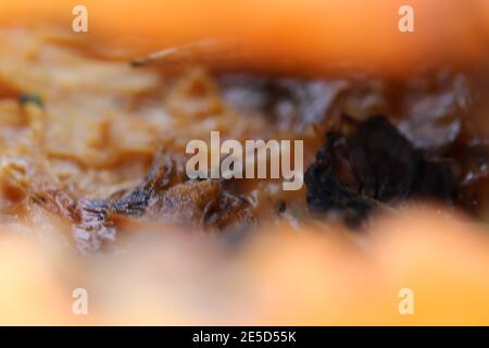 Close up of a pumpkin skin as it rots Stock Photo