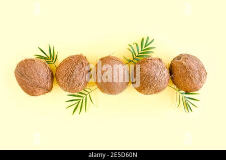 Pattern with coconuts and tropical palm leaves on yellow background. Tropical abstract background. Flat lay, top view. Stock Photo