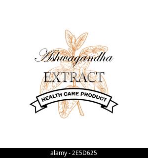 Hand drawn Ashwagandha logo isolated on white background. Vector illustration in sketch style. Stock Vector