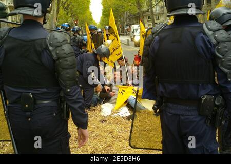 'Confederation Paysanne' (French farmer union) Members protest near National Assembly in Paris, France on November 12, 2008. Photo by Mousse/ABACAPRESS.COM Stock Photo