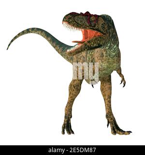 Albertosaurus was a carnivorous theropod dinosaur that lived in North America during the Cretaceous Period. Stock Photo