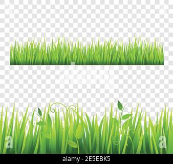 Green and bright grass border tileable transparent with plants flat isolated  vector illustration Stock Vector