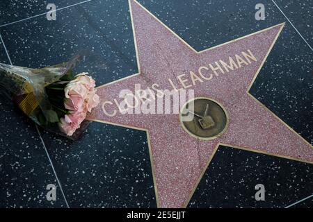 Los Angeles, California, USA. 27th Jan, 2021. Flowers are placed at the star of Cloris Leachman on the Hollywood Walk of Fame, Wednesday, Jan. 27, 2021, in Los Angeles. Leachman, the prolific actress of stage and screen best known for her role as Phyllis Lindstrom on ''The Mary Tyler Moore Show'' and its short-lived spinoff ''Phyllis, '' died in her sleep of natural causes at the age of 94, her manager said today. Credit: Ringo Chiu/ZUMA Wire/Alamy Live News Stock Photo