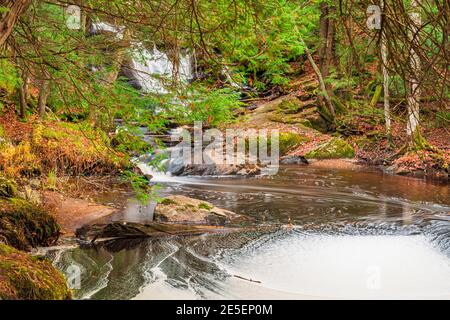 Muskoka County Conservation area Ontario Canada Stock Photo