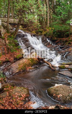 Muskoka County Conservation area Ontario Canada Stock Photo