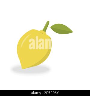Lemon fruit vector isolate on white background for graphic design, logo, web site, social media, mobile app, ui illustration Stock Vector