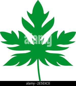 Papaya leaf logo design vector template Stock Vector